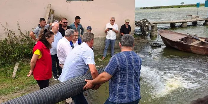 Samsun’daki iç sulara 2,3 milyon yavru sazan bırakıldı!