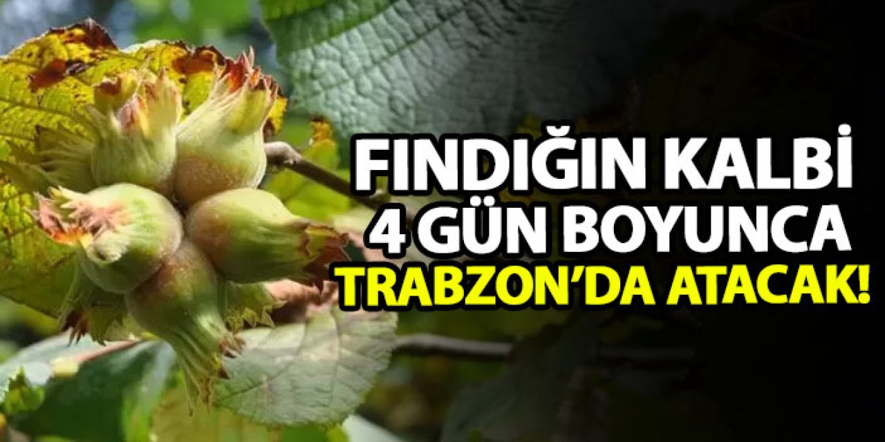 Fındığın kalbi 4 gün boyunca Trabzon’da atacak!