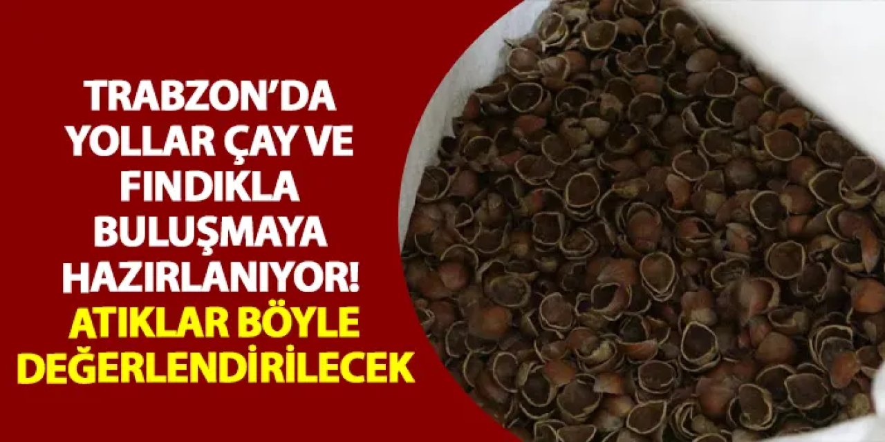 Trabzon’da yollar çay ve fındıkla buluşmaya hazırlanıyor! Atıklar değerlendirilecek