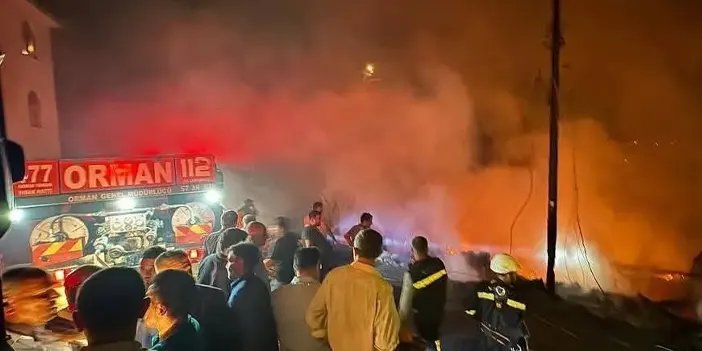 Sinop'ta korkutan yangın! Soğutma çalışmaları devam ediyor