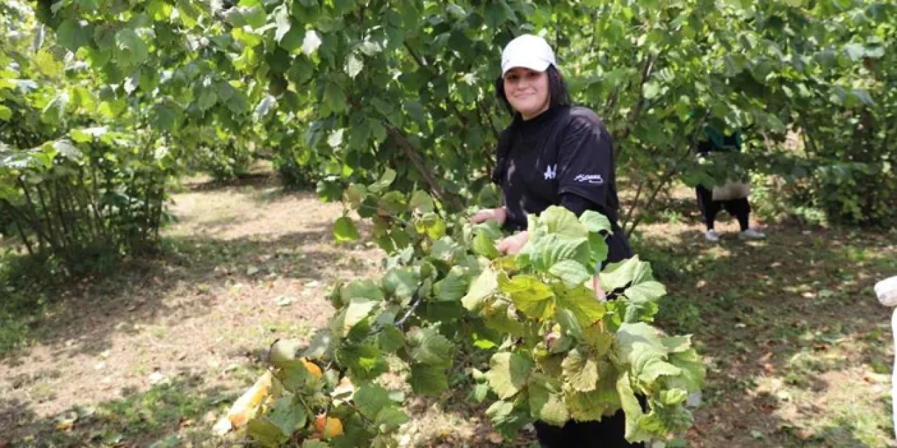 Ordu’da fındık için proje üreticileri memnun etti!