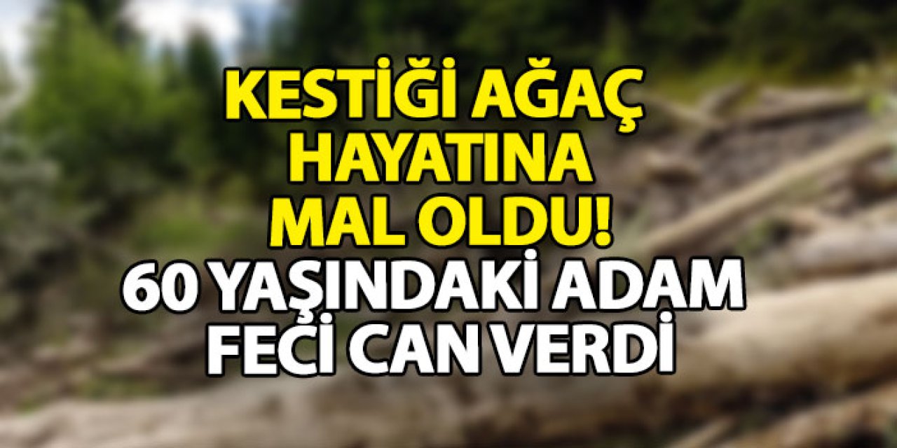 Kestiği ağaç hayatına mal oldu! 60 yaşındaki adam feci can verdi