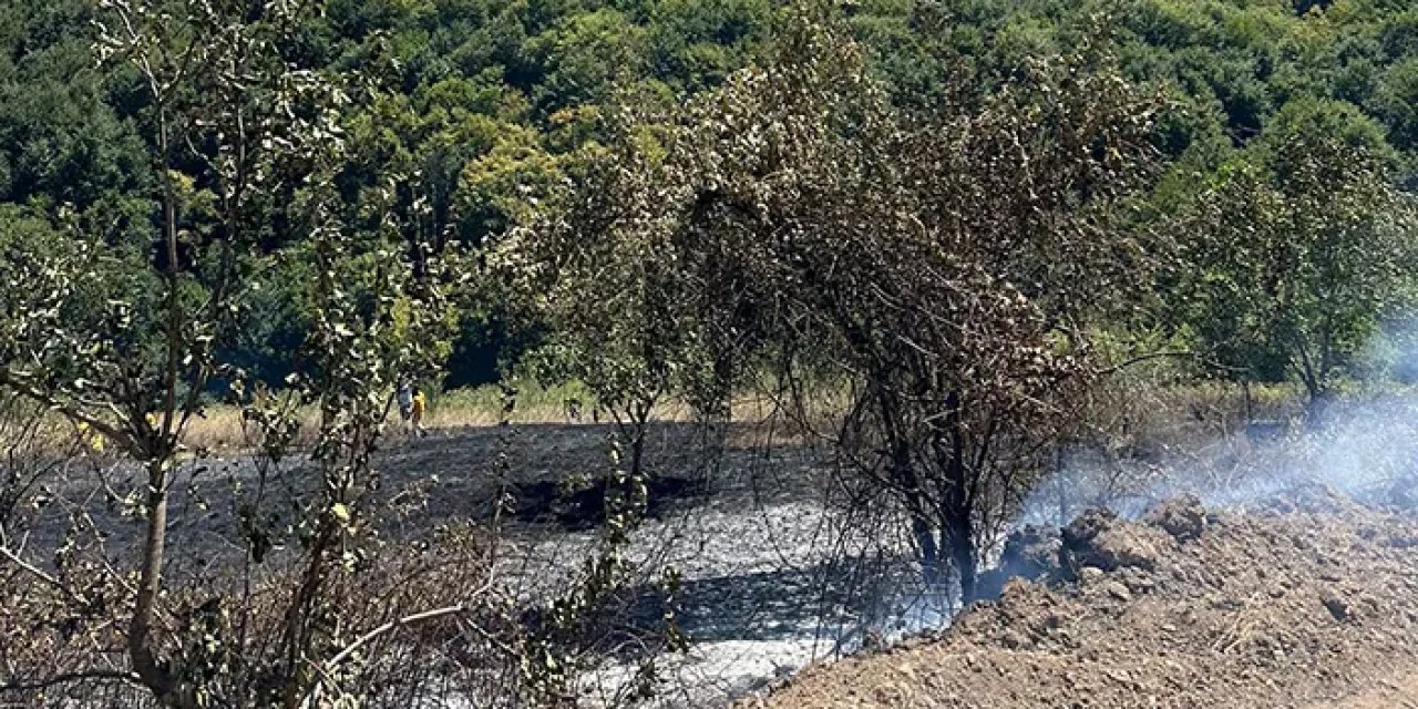 Samsun'da korkutan yangın! Fındık bahçesi az kalsın yanıyordu