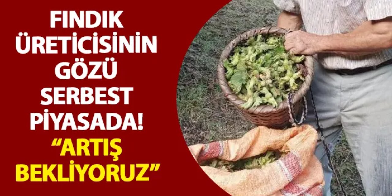 Fındık üreticisinin gözü serbest piyasada! “Artış bekliyoruz”
