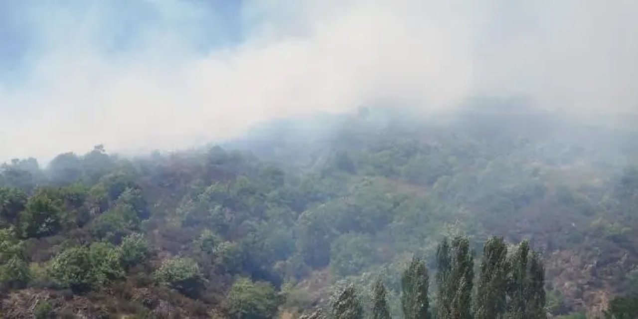 Gümüşhane’de korkutan yangın! Ağaçlık alandan dumanlar yükseldi