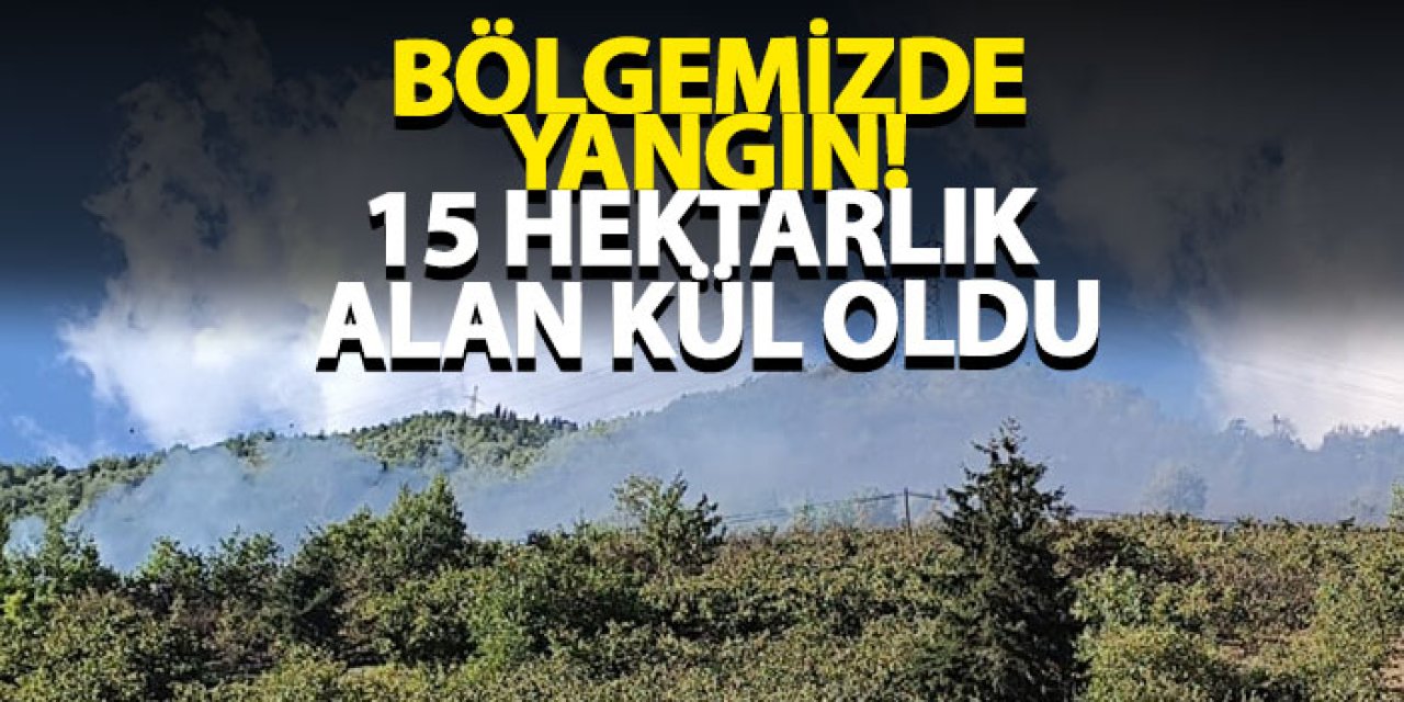 Bölgemizde yangın! 15 Hektarlık alan kül oldu