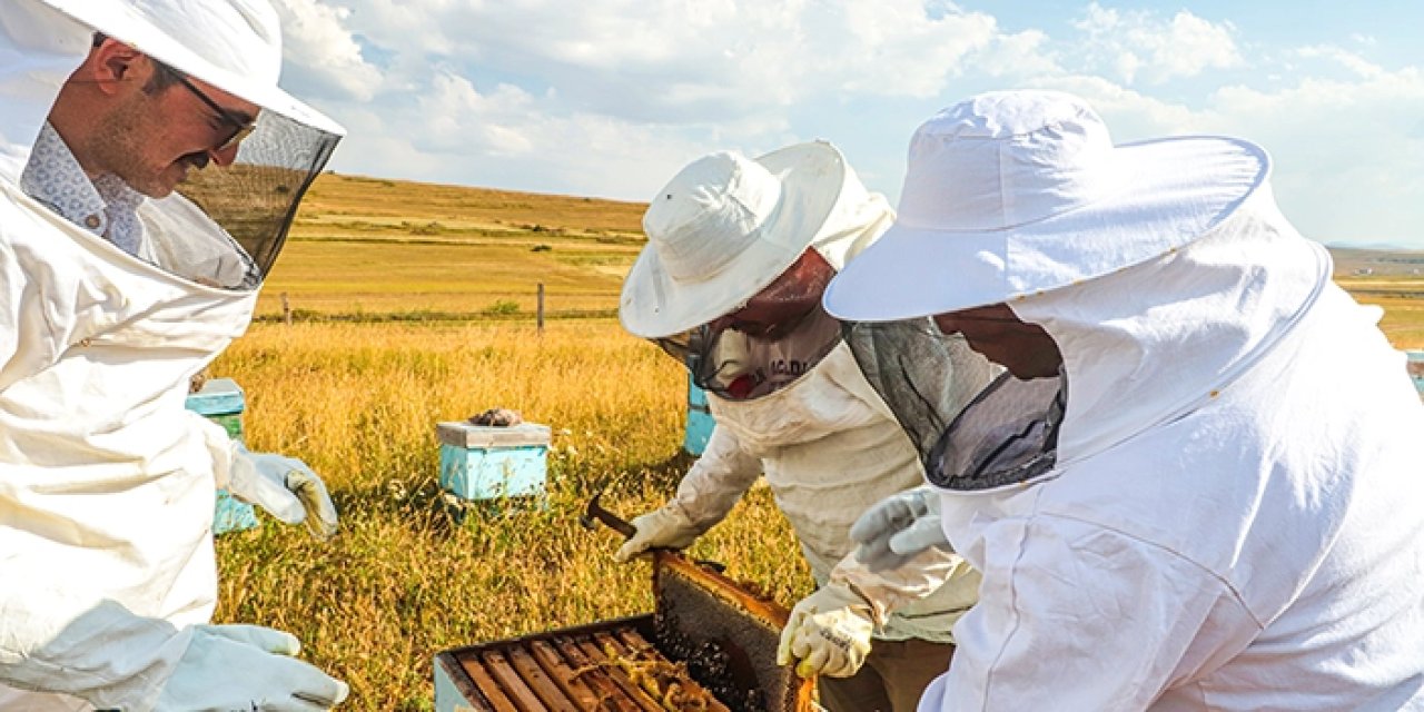 Bayburt'ta bal hasadı sezonu başladı