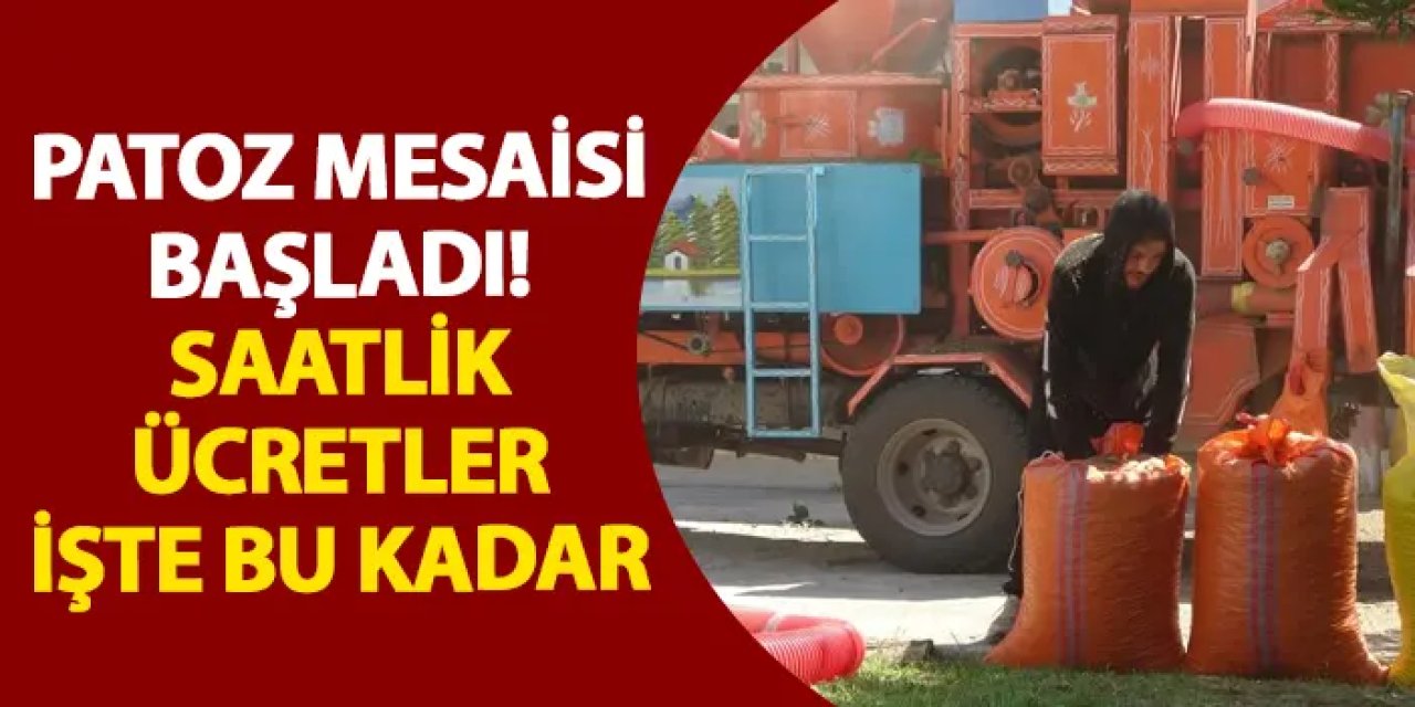 Patoz mesaisi başladı! Saatlik ücretler işte bu kadar