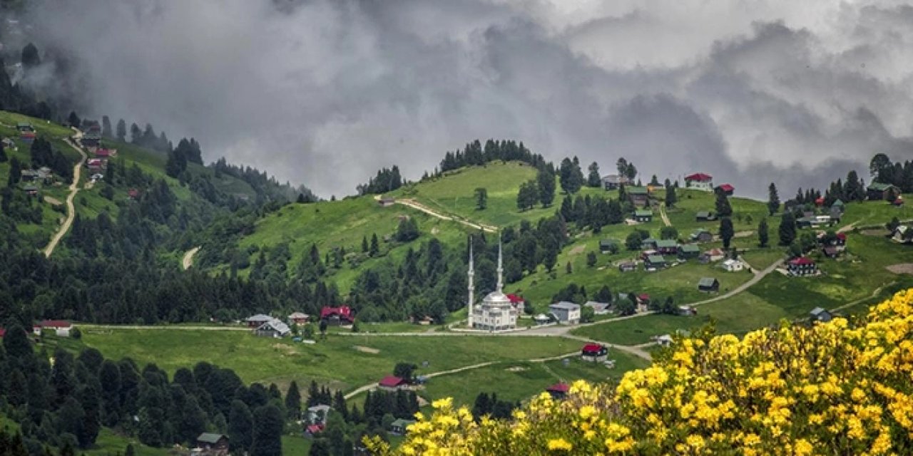 Sessiz tehlike: Şehirlerde zamanla kaybolan yeşil alanlar