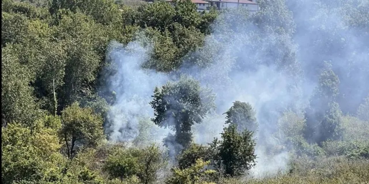Ordu’da bahçe temizliği yangın çıkardı!
