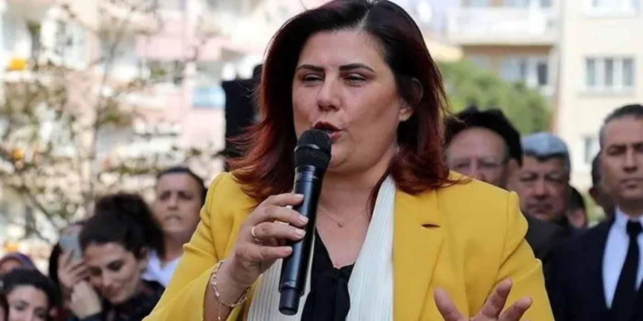 CHP’den Ayrılan Özlem Çerçioğlu Kimdir, Nereli ve Kaç Yaşında?