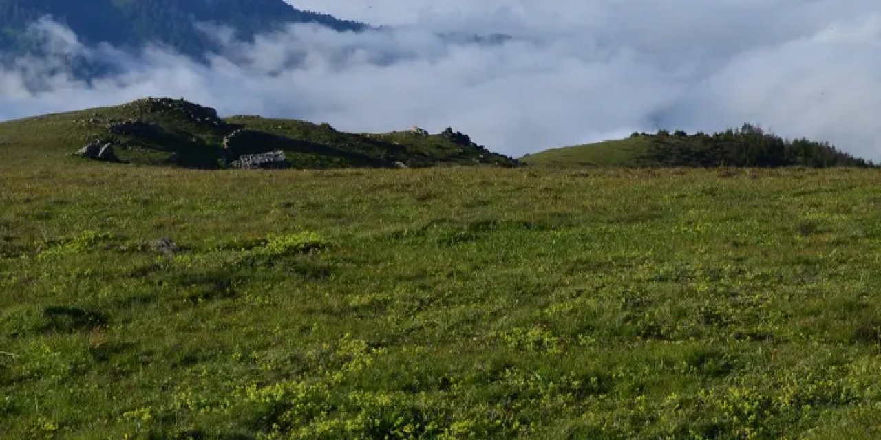 Trabzon’da yaylada şenlik var! Zenolar buluşuyor