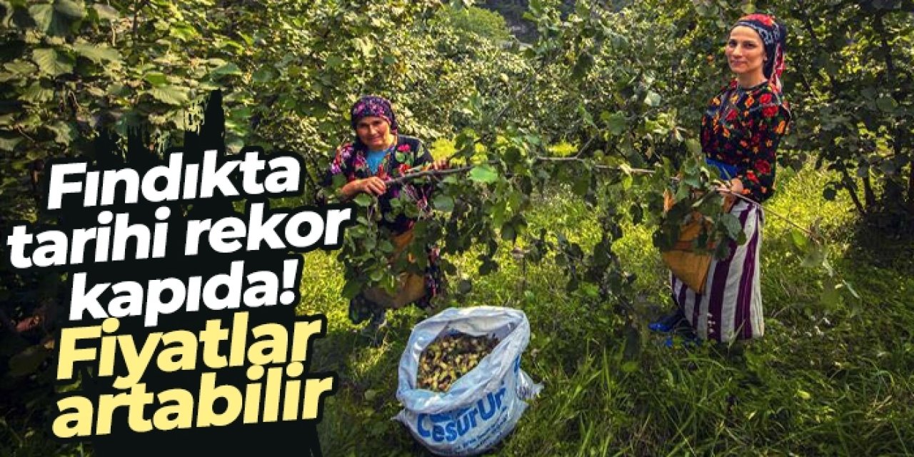 Fındıkta tarihi rekor kapıda! Fiyatlar artabilir...