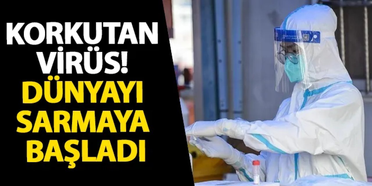 Korkutan virüs! Dünyayı sarmaya başladı