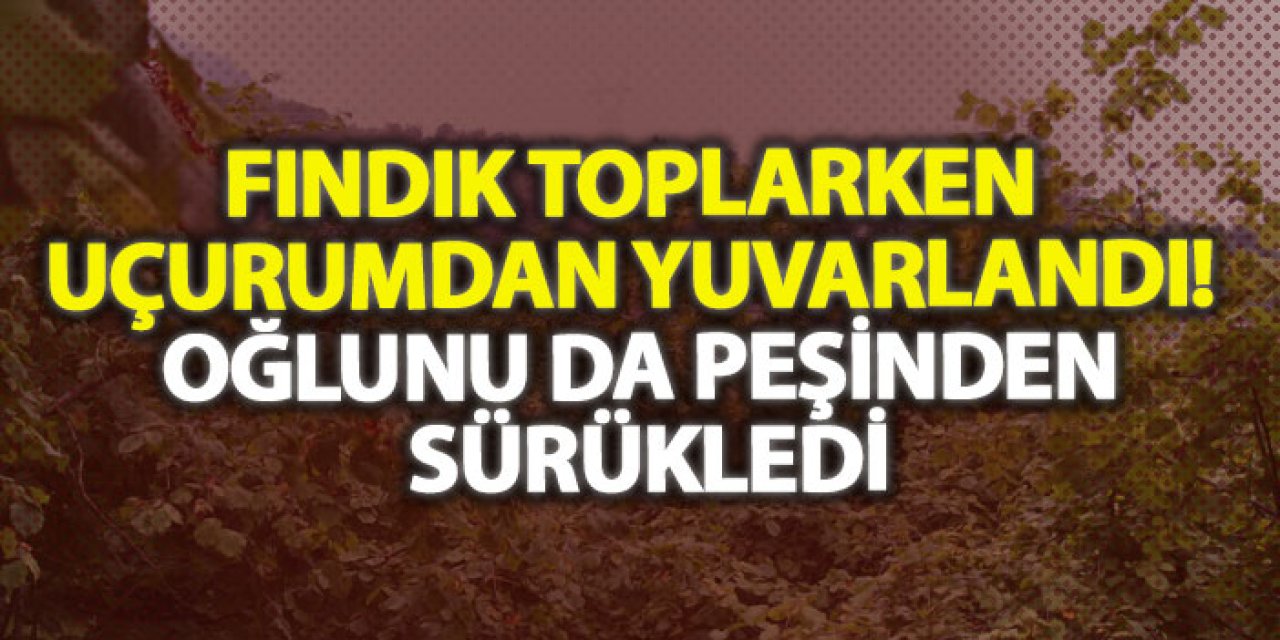 Fındık toplarken uçurumdan yuvarlandı! Oğlunu da peşinden sürükledi