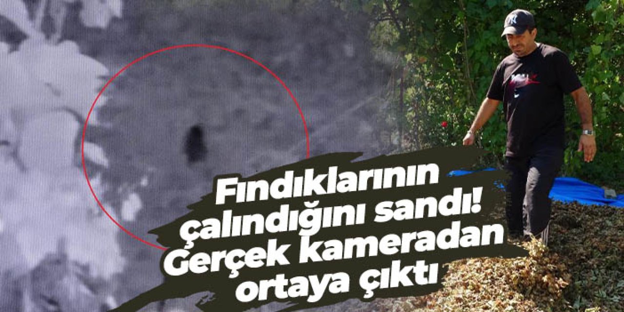 Ordu’da fındıklarının çalındığını sandı! Gerçek kameradan ortaya çıktı