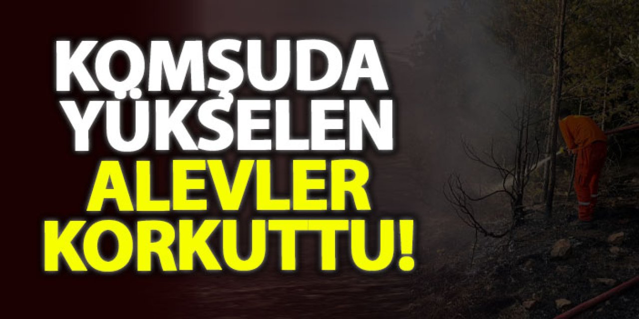 Komşuda yükselen alevler korkuttu!