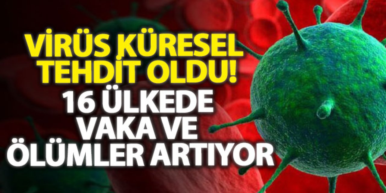 Virüs küresel tehdit oldu! 16 ülkede vaka ve ölümler artıyor