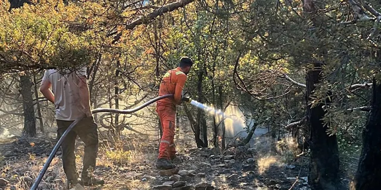 Gümüşhane'de korkutan yangın!