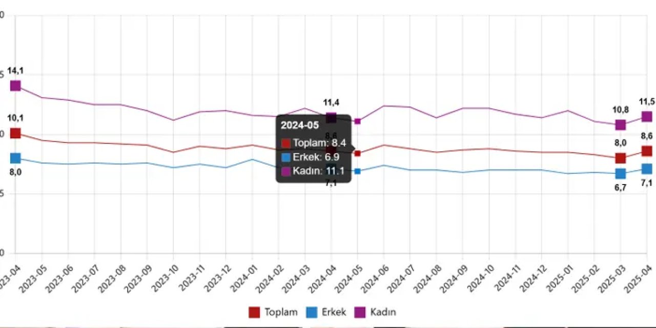 TÜİK açıkladı: İşsizlik oranı yüzde 8,6’ya yükseldi