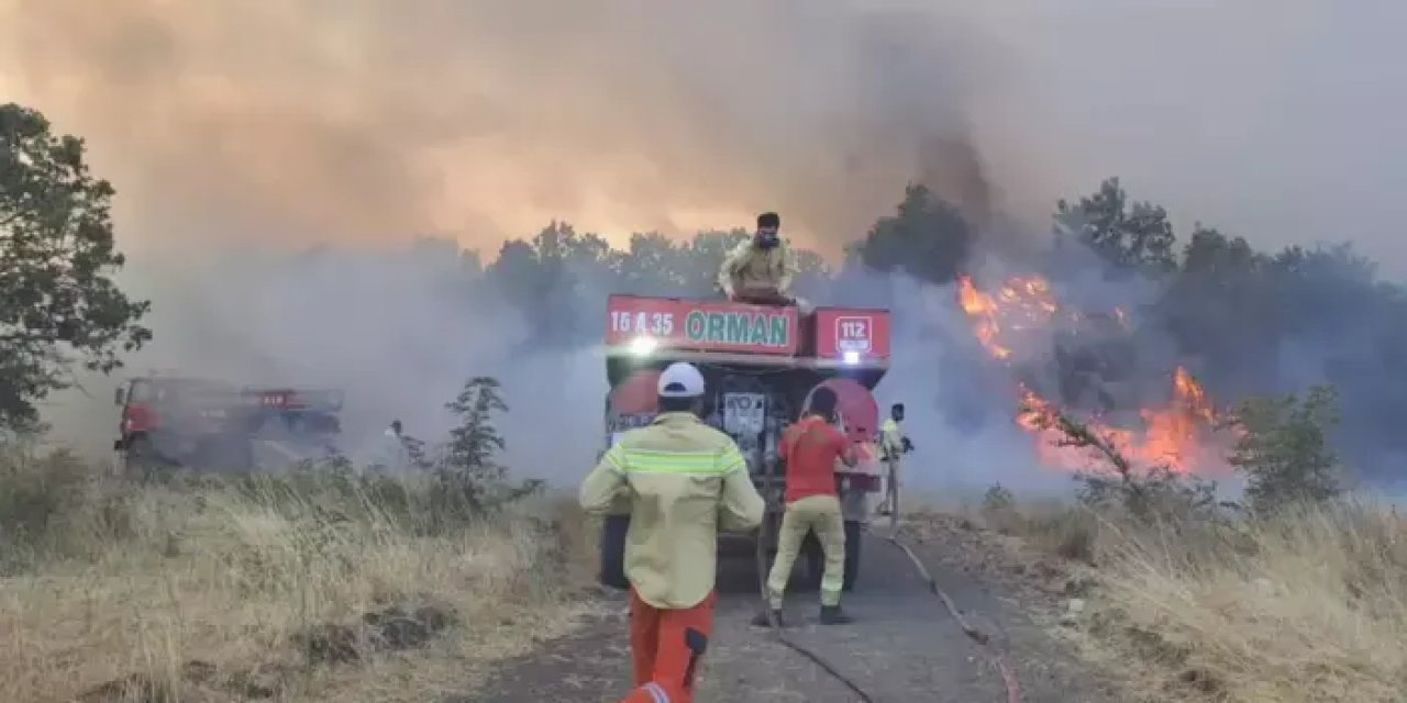 Bursa’da orman yangını! Müdahale sürüyor