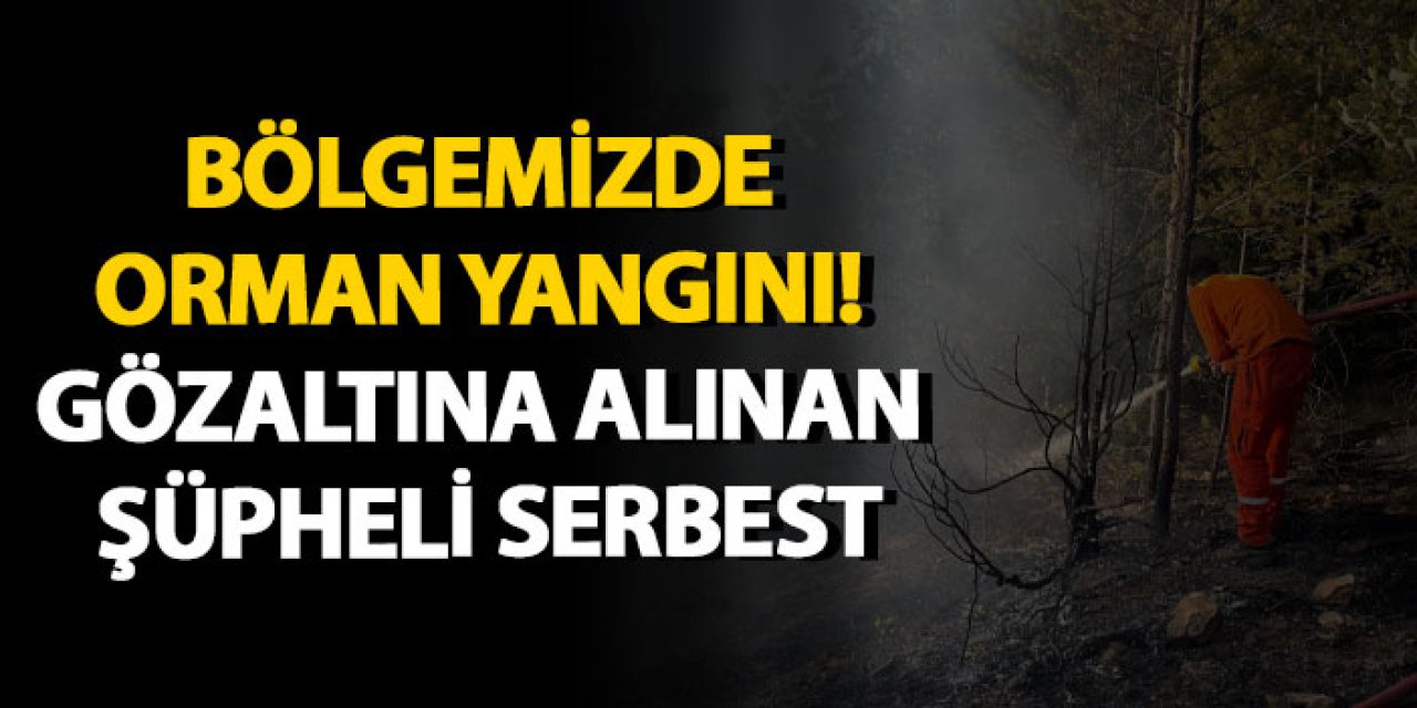 Bölgemizde orman yangını! Gözaltına alınan şüpheli serbest