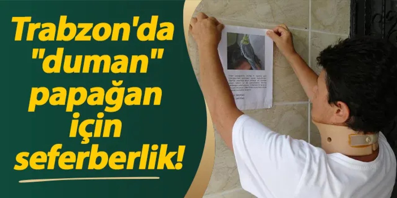 Trabzon'da "duman" papağan için seferberlik!