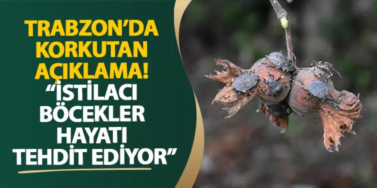 Trabzon’da korkutan açıklama! “İstilacı böcekler hayatı tehdit ediyor”