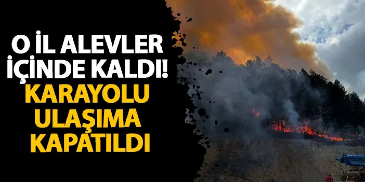 Bolu alevler içinde kaldı! Karayolu ulaşıma kapatıldı