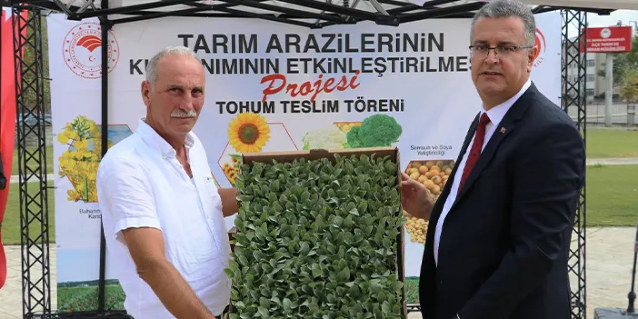 Samsun'da çiftçilere sebze fidesi desteği