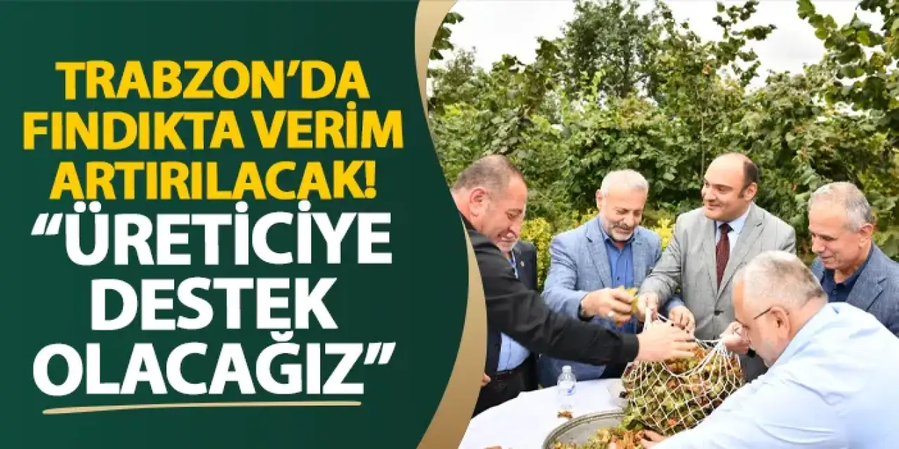 Trabzon’da fındıkta verim artırılacak! “Üreticiye destek olacağız”