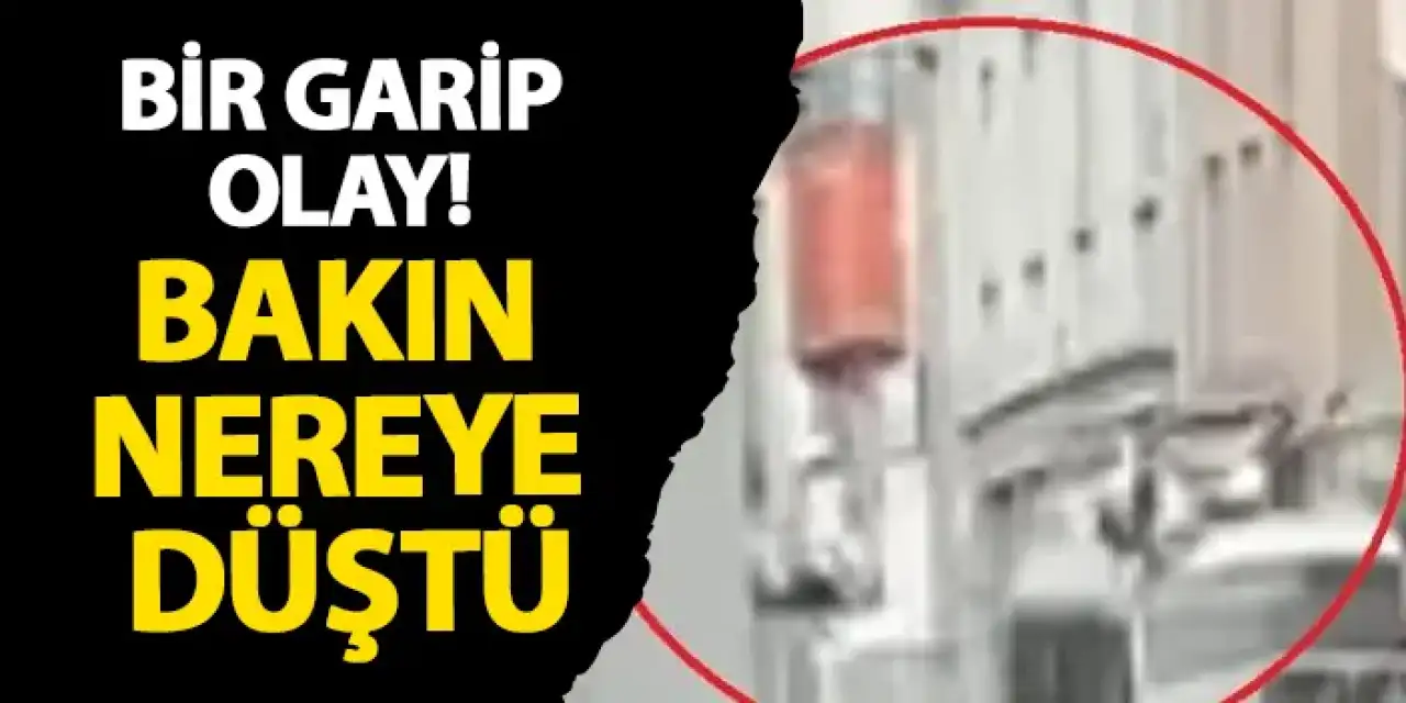Ordu’da bir garip olay! Bakın nereye düştü