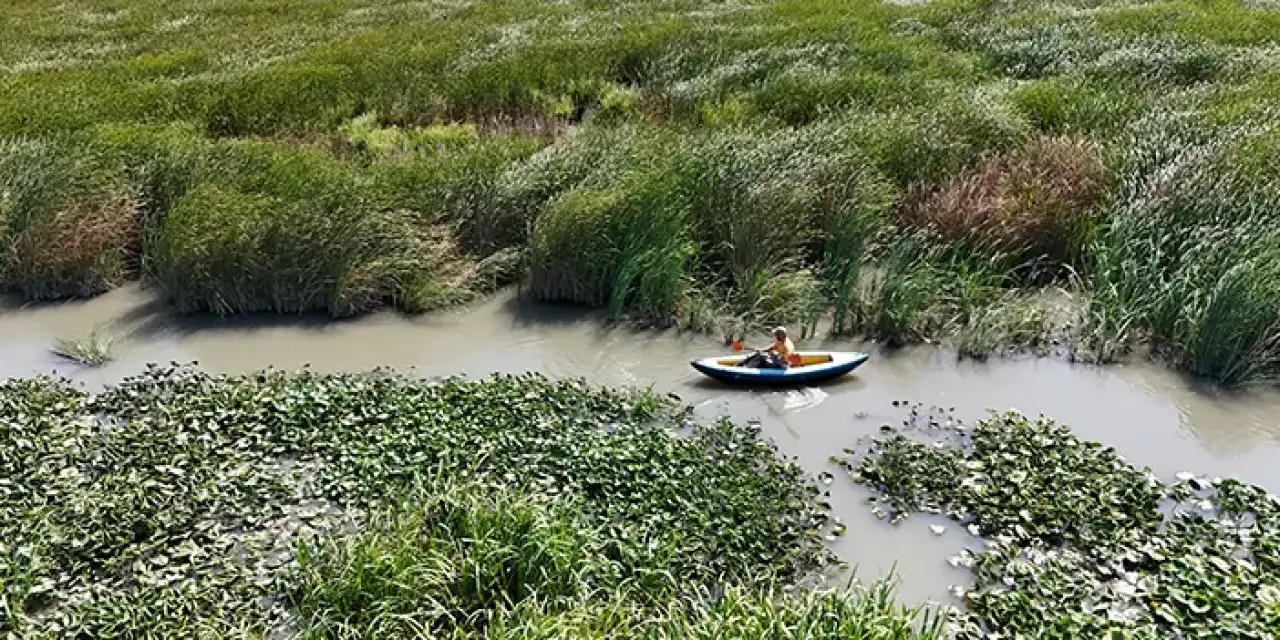Nilüferlerin arasında kano yaparak şehrini tanıtmak istiyor