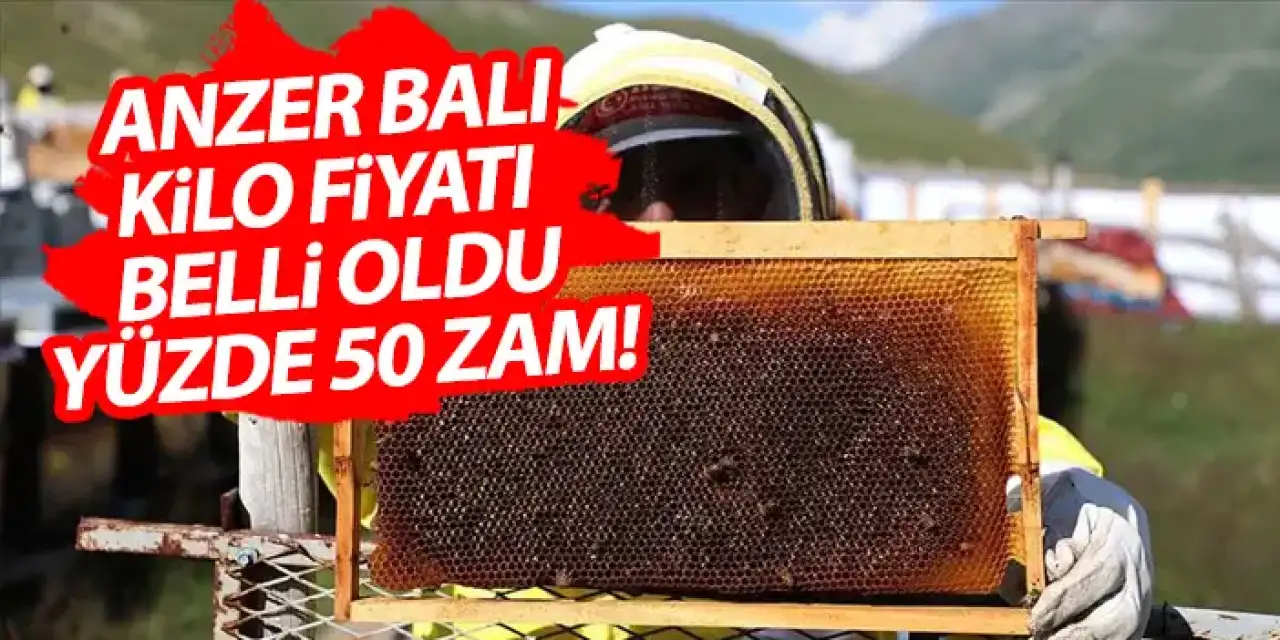 Anzer Balı kilo fiyatı ne kadar? Yüzde 50 zam