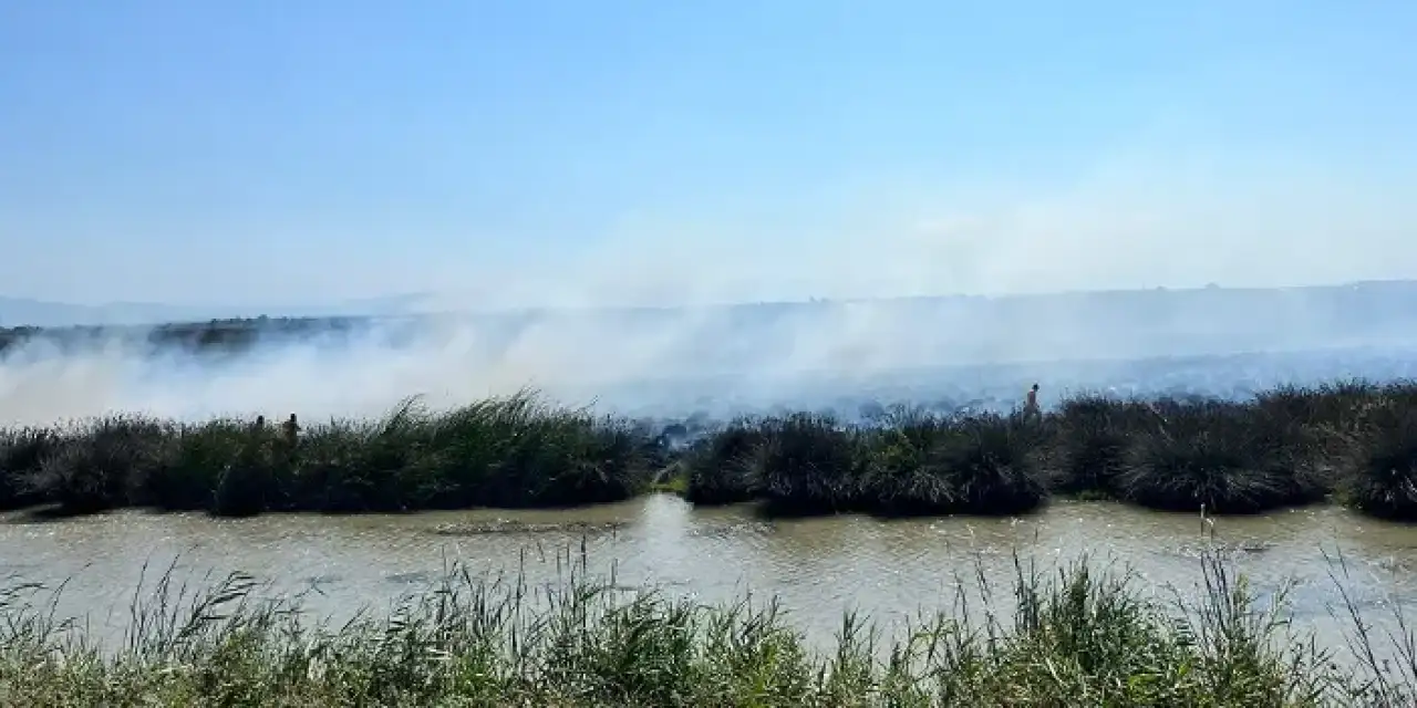 Samsun'da alevler göğe yükseldi! Korku dolu dakikalar