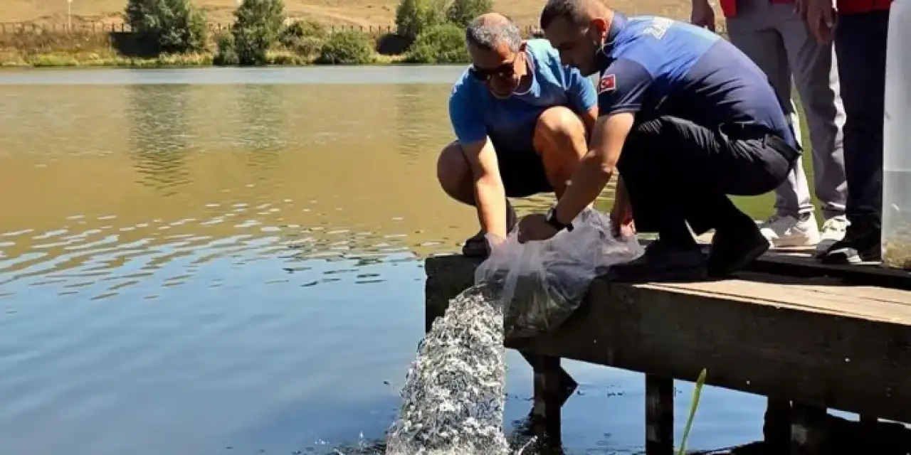 Ordu Perşembe Yaylası Göleti’ne DSİ’den büyük çalışma!