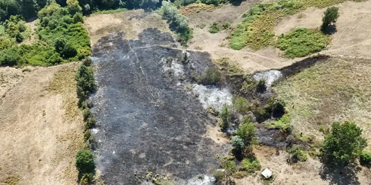 Samsun'da korkutan facia!