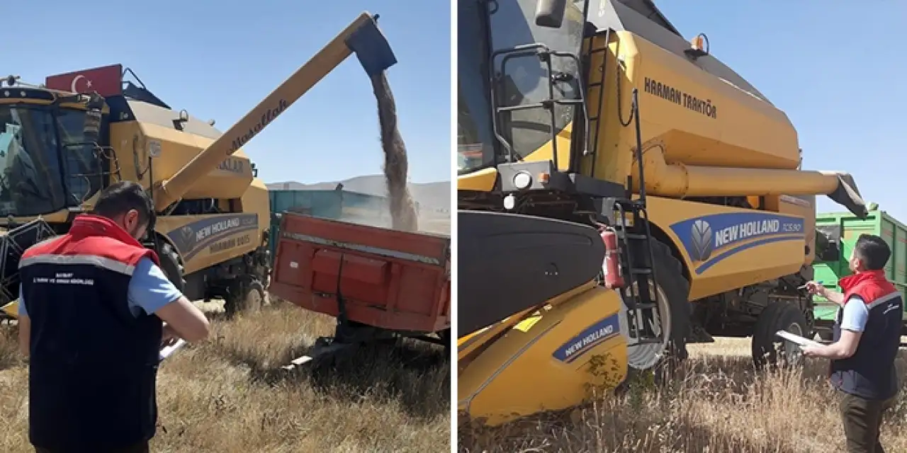 Bayburt Demirözü’nde hasat mesaisi! Biçerdöver kontrolleri hız kesmiyor
