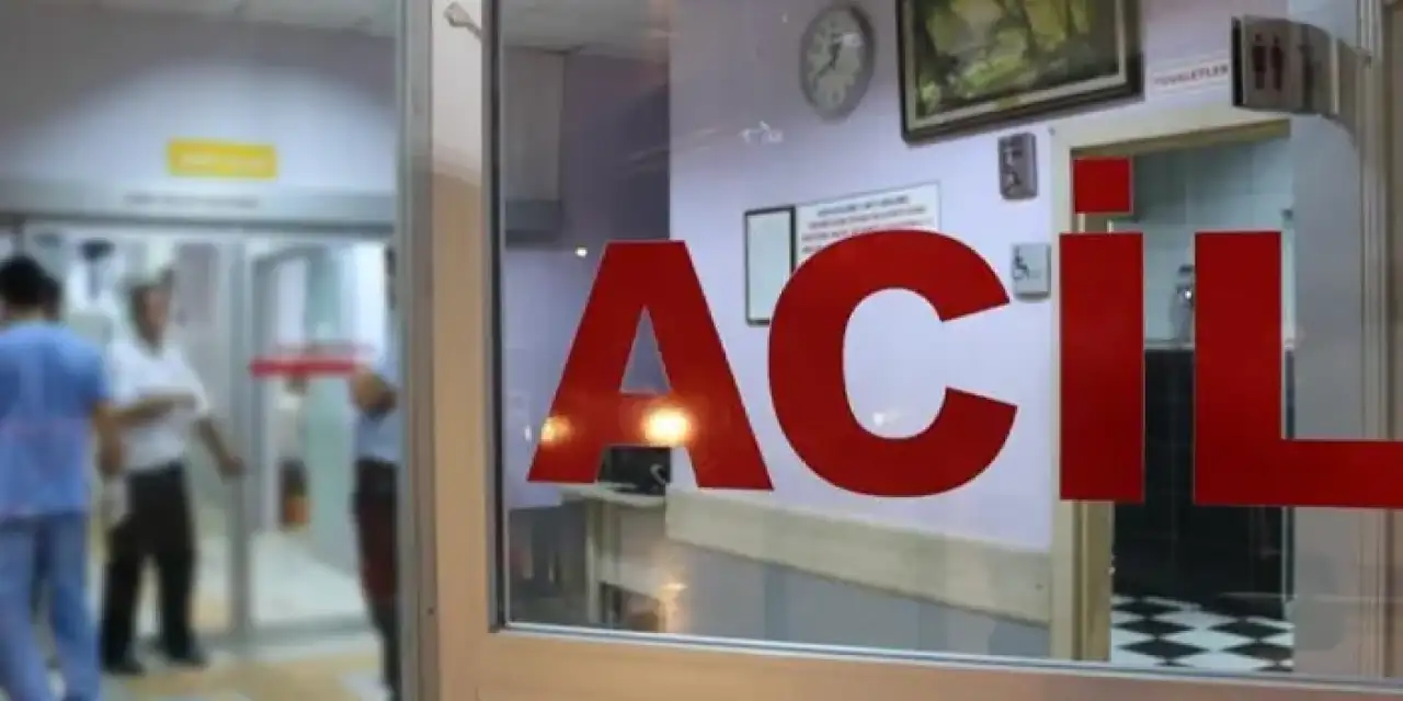 Ordu'da dehşet kaza! Yamaçtan yuvarlandı