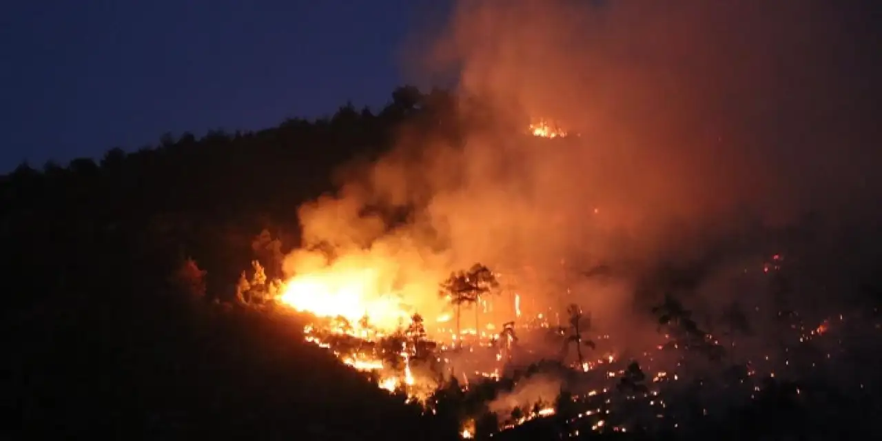 Denizli'deki orman yangınında son durum! Gece boyunca...