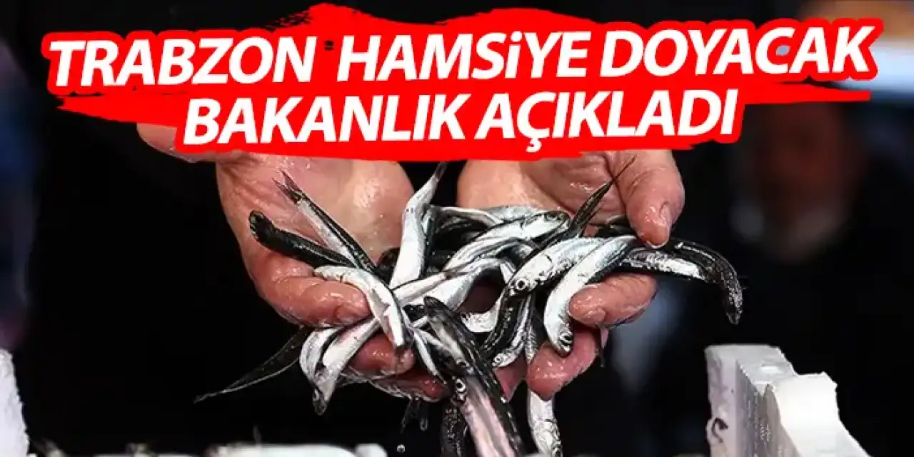 Trabzon hamsiye doyacak! Bakanlık açıkladı