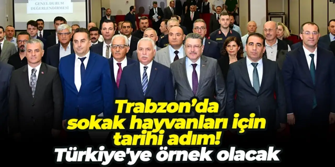 Trabzon’da sokak hayvanları için tarihi adım! Türkiye'ye örnek olacak