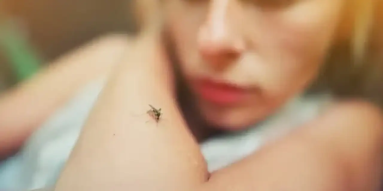 Neden Sivrisinekler Bazı İnsanları Daha Çok Isırıyor?