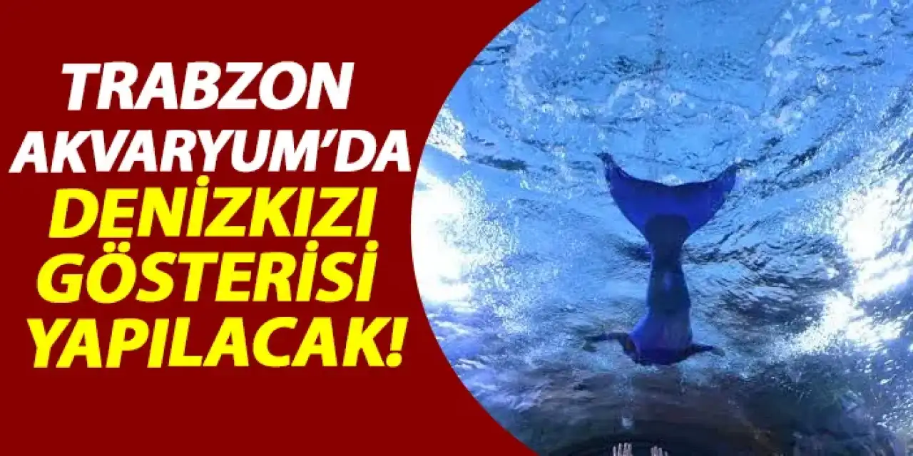 Trabzon Akvaryum'da denizkızı gösterisi yapılacak!