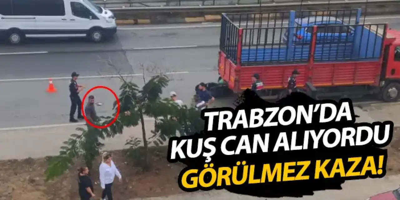 Trabzon’da kuş can alıyordu! Görünmez kaza
