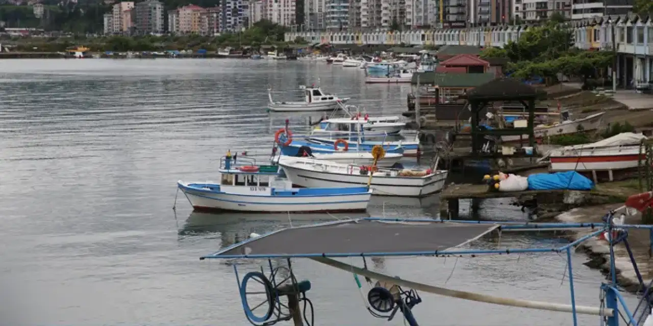 Ordu'da balıkçılar bu sezon hamsiden ümitli!