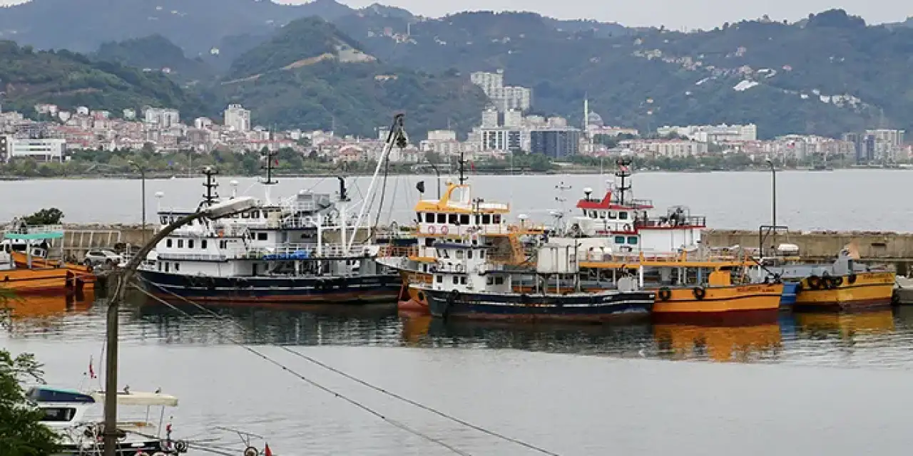Rize'de balıkçıların bu sezonda hamsi beklentisi!
