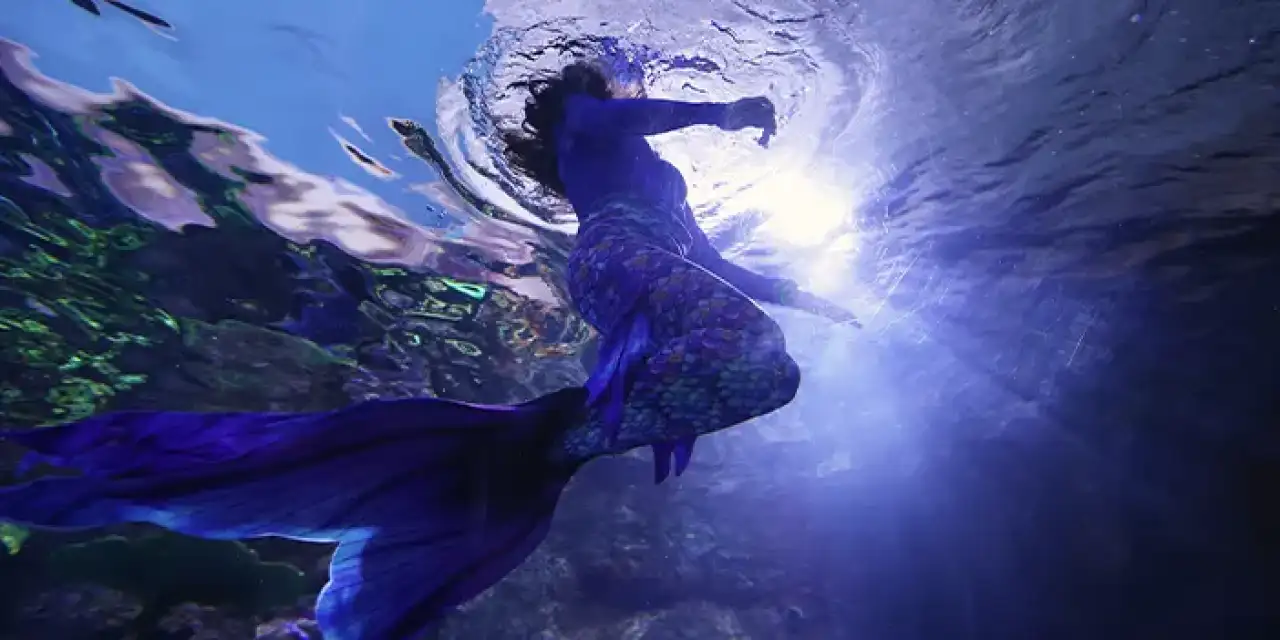 Trabzon Akvaryum 'da deniz kızı gösterisi!