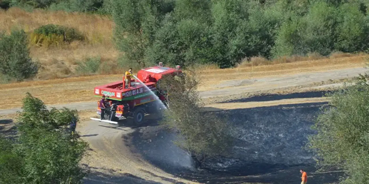 Samsun'da 620 dekar tarım arazisi kül oldu!