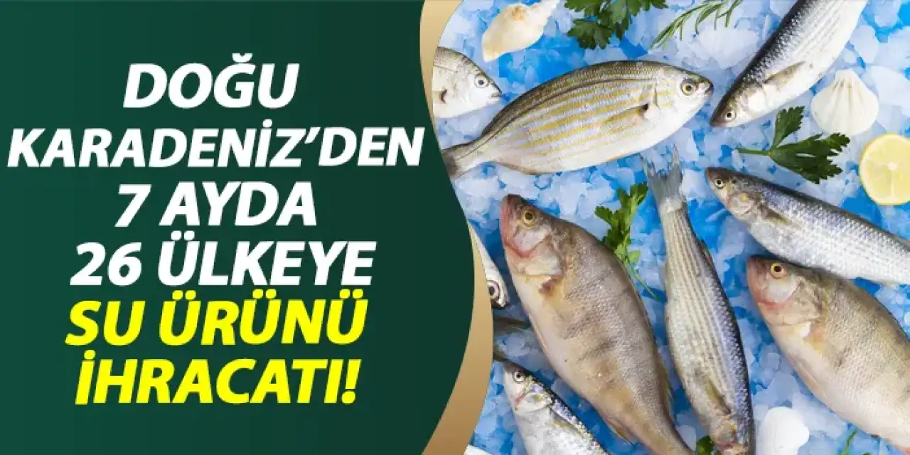 Doğu Karadeniz'den  7 ayda 26 ülkeye su ürünü ihracatı!